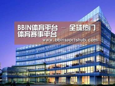 案例展示五