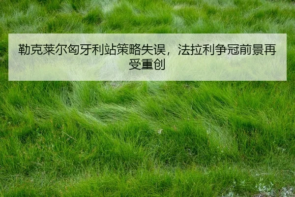 lei-ke-lai-er-xiong-ya-li-zhan-ce-lve-shi-wu-fa-la-li-zheng-guan-qian-jing-zai-shou-zhong-chuang-2-224.jpg